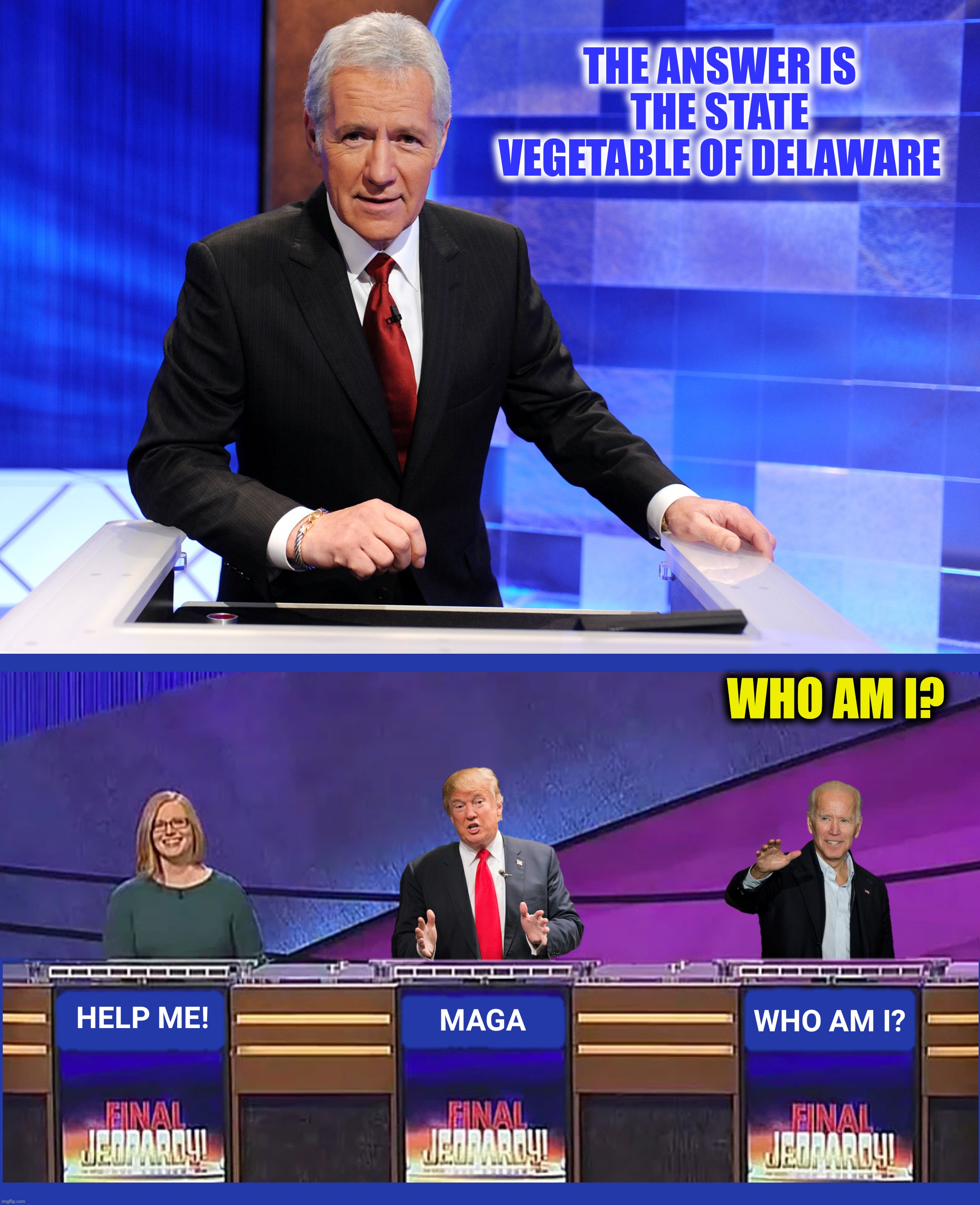 THE ANSWER IS THE STATE VEGETABLE OF DELAWARE WHO AM I? | made w/ Imgflip meme maker