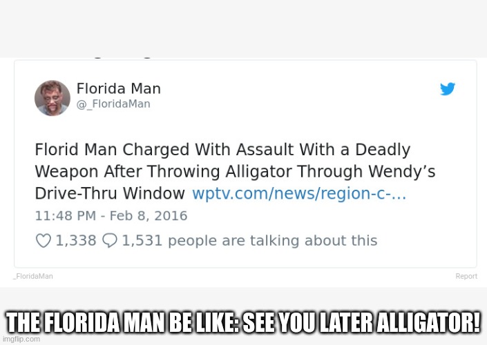See Ya Later Alligator! | THE FLORIDA MAN BE LIKE: SEE YOU LATER ALLIGATOR! | image tagged in florida man,meanwhile in florida,relatable | made w/ Imgflip meme maker