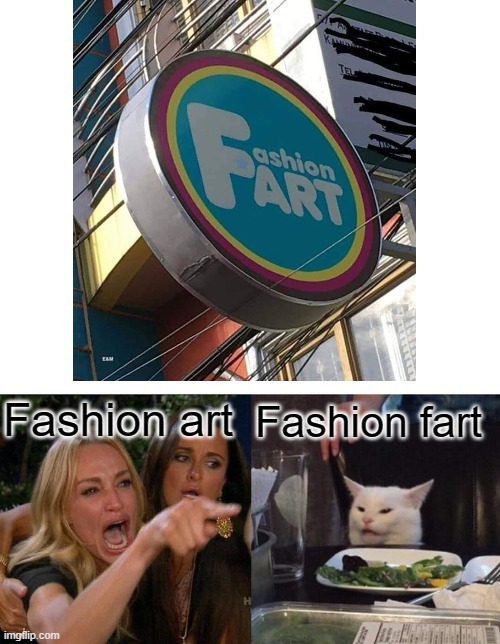 Fashion Art Or Fashion Fart | Fashion art; Fashion fart | image tagged in memes,woman yelling at cat | made w/ Imgflip meme maker