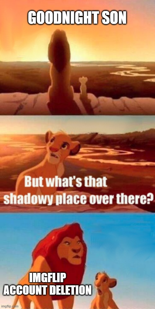 Simba Shadowy Place | GOODNIGHT SON; IMGFLIP ACCOUNT DELETION | image tagged in memes,simba shadowy place | made w/ Imgflip meme maker