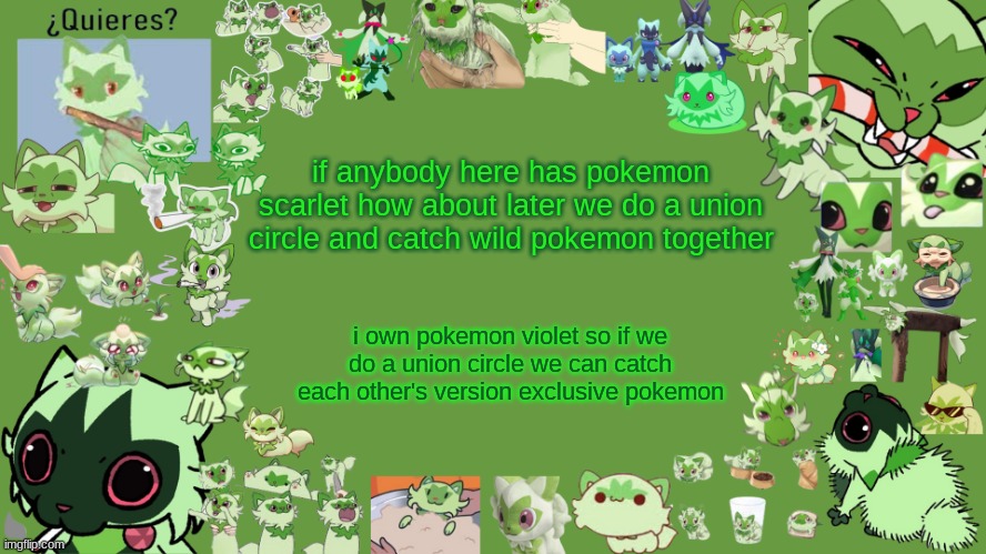 i can tell you when i can do it since i cant play on my switch for a few hours (it's the morning rn) | if anybody here has pokemon scarlet how about later we do a union circle and catch wild pokemon together; i own pokemon violet so if we do a union circle we can catch each other's version exclusive pokemon | image tagged in drm's weed cat temp | made w/ Imgflip meme maker