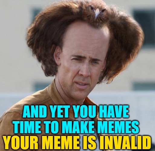 nicholas cage argument invalid | AND YET YOU HAVE TIME TO MAKE MEMES YOUR MEME IS INVALID | image tagged in nicholas cage argument invalid | made w/ Imgflip meme maker