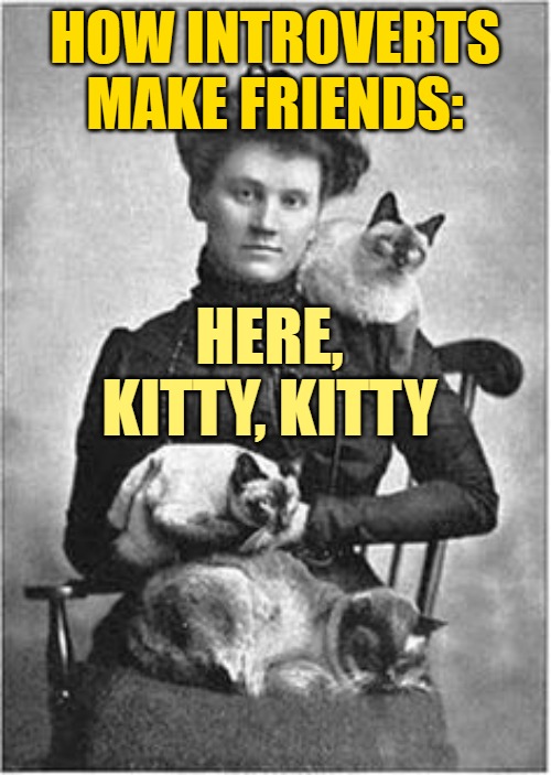 Vintage Cat Lady | HOW INTROVERTS MAKE FRIENDS: HERE, KITTY, KITTY | image tagged in vintage cat lady | made w/ Imgflip meme maker