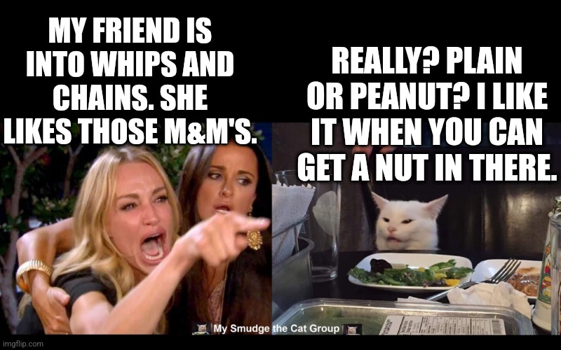 MY FRIEND IS INTO WHIPS AND CHAINS. SHE LIKES THOSE M&M'S. REALLY? PLAIN OR PEANUT? I LIKE IT WHEN YOU CAN GET A NUT IN THERE. | image tagged in smudge the cat,memes | made w/ Imgflip meme maker