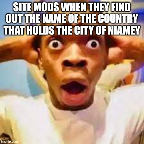 FR ONG?!?!? | SITE MODS WHEN THEY FIND OUT THE NAME OF THE COUNTRY THAT HOLDS THE CITY OF NIAMEY | image tagged in fr ong | made w/ Imgflip meme maker