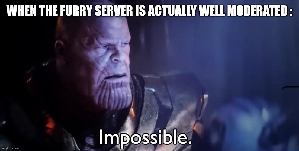 Thanos Impossible | WHEN THE FURRY SERVER IS ACTUALLY WELL MODERATED : | image tagged in thanos impossible | made w/ Imgflip meme maker