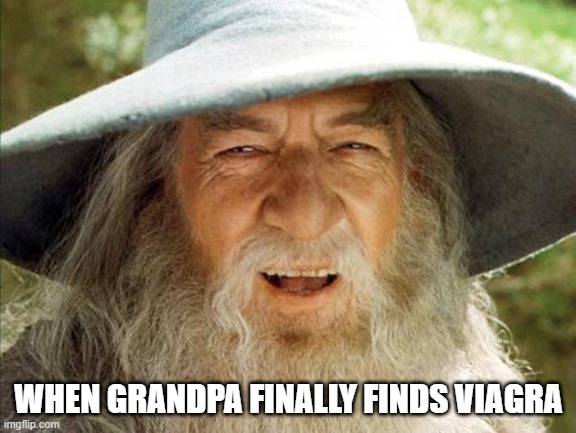 good job gandalf | WHEN GRANDPA FINALLY FINDS VIAGRA | image tagged in a wizard is never late | made w/ Imgflip meme maker