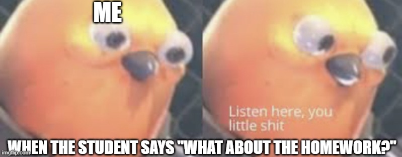 Listen here you little shit bird | ME; WHEN THE STUDENT SAYS "WHAT ABOUT THE HOMEWORK?" | image tagged in listen here you little shit bird | made w/ Imgflip meme maker