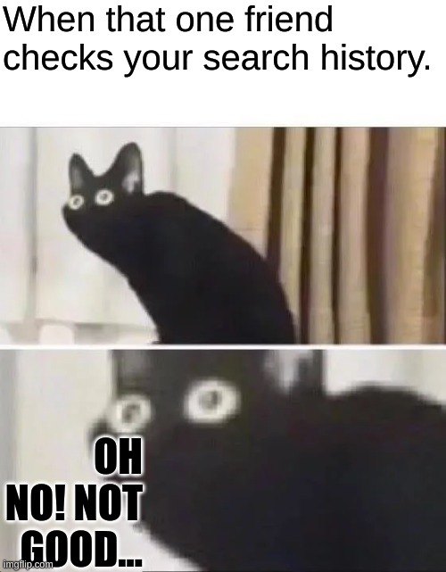 Oh sh1t | When that one friend checks your search history. OH NO! NOT GOOD... | image tagged in oh no black cat | made w/ Imgflip meme maker