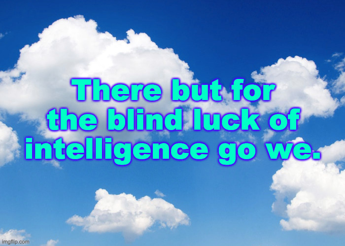 There but for the blind luck of intelligence go we. | made w/ Imgflip meme maker