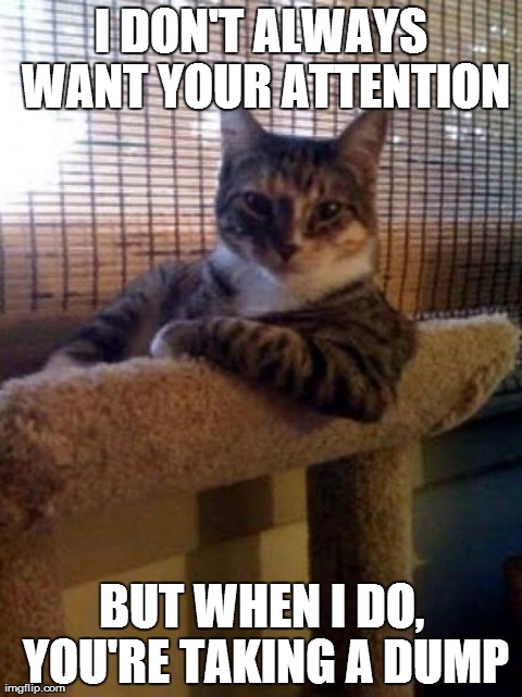 My cat, in a nut shell. | I DON'T ALWAYS WANT YOUR ATTENTION BUT WHEN I DO, YOU'RE TAKING A DUMP | image tagged in memes,the most interesting cat in the world,cats,animals,funny,fails | made w/ Imgflip meme maker