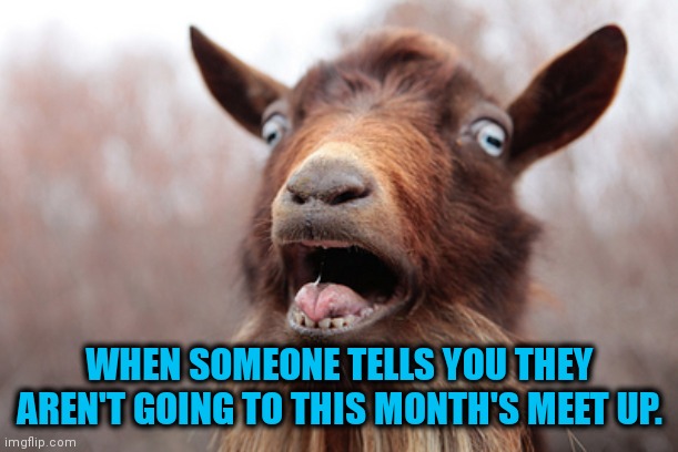 Crazy goat | WHEN SOMEONE TELLS YOU THEY AREN'T GOING TO THIS MONTH'S MEET UP. | image tagged in crazy goat | made w/ Imgflip meme maker