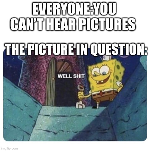 To true man | EVERYONE:YOU CAN’T HEAR PICTURES; THE PICTURE IN QUESTION: | image tagged in well shit spongebob edition,well shit | made w/ Imgflip meme maker