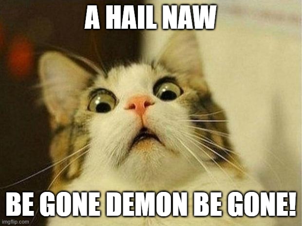 Scared Cat Meme | A HAIL NAW; BE GONE DEMON BE GONE! | image tagged in memes,scared cat | made w/ Imgflip meme maker