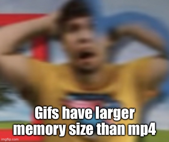 Mrbeast shocked | Gifs have larger memory size than mp4 | image tagged in mrbeast shocked | made w/ Imgflip meme maker