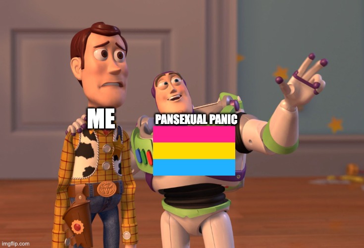 X, X Everywhere Meme | ME PANSEXUAL PANIC | image tagged in memes,x x everywhere | made w/ Imgflip meme maker