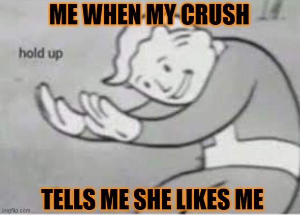 when my crush says she likes me: | ME WHEN MY CRUSH; TELLS ME SHE LIKES ME | image tagged in hol up,crush,meme | made w/ Imgflip meme maker