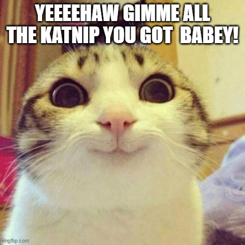 Smiling Cat | YEEEEHAW GIMME ALL THE KATNIP YOU GOT  BABEY! | image tagged in memes,smiling cat | made w/ Imgflip meme maker