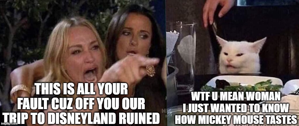 woman yelling at cat | THIS IS ALL YOUR FAULT CUZ OFF YOU OUR TRIP TO DISNEYLAND RUINED; WTF U MEAN WOMAN I JUST WANTED TO KNOW HOW MICKEY MOUSE TASTES | image tagged in woman yelling at cat | made w/ Imgflip meme maker