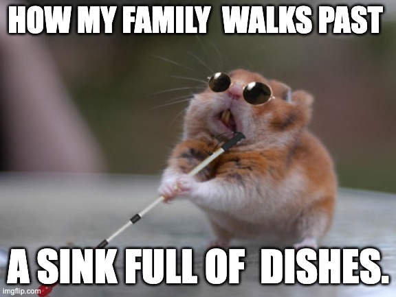 Dishes | HOW MY FAMILY  WALKS PAST; A SINK FULL OF  DISHES. | image tagged in blind mouse,dirty dishes | made w/ Imgflip meme maker