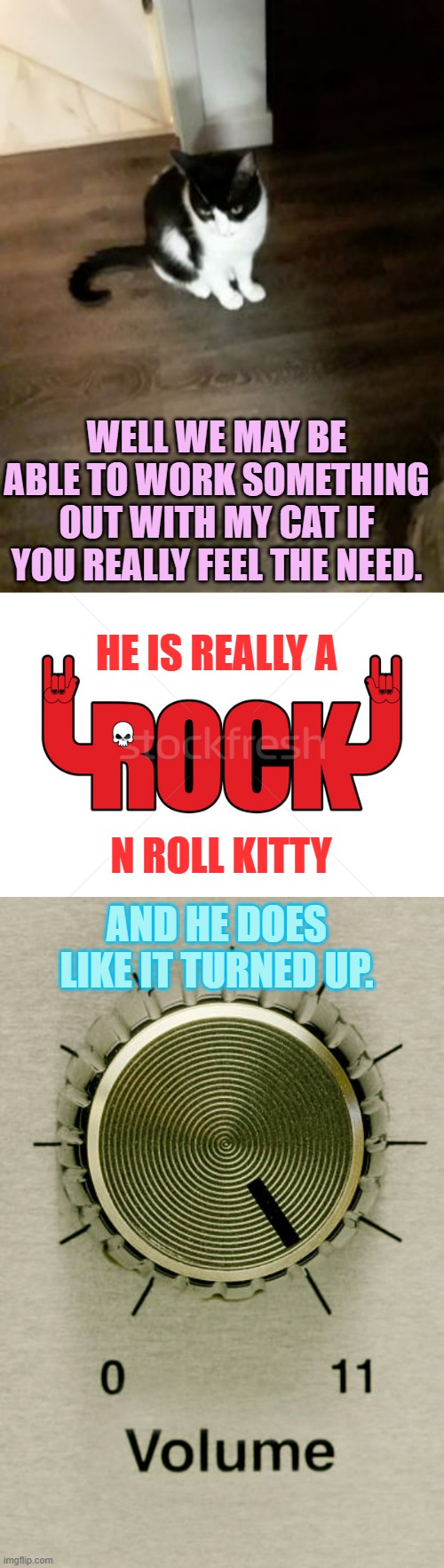 WELL WE MAY BE ABLE TO WORK SOMETHING OUT WITH MY CAT IF YOU REALLY FEEL THE NEED. AND HE DOES LIKE IT TURNED UP. HE IS REALLY A N ROLL KITT | made w/ Imgflip meme maker