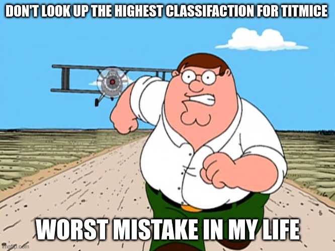 Peter Griffin running away | DON'T LOOK UP THE HIGHEST CLASSIFACTION FOR TITMICE; WORST MISTAKE IN MY LIFE | image tagged in peter griffin running away | made w/ Imgflip meme maker