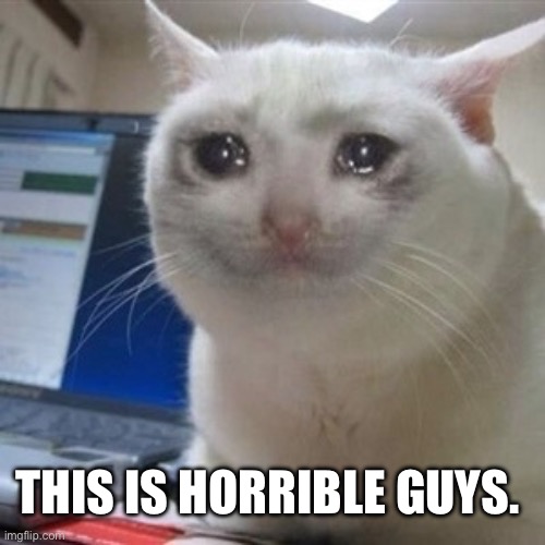 Crying cat | THIS IS HORRIBLE GUYS. | image tagged in crying cat | made w/ Imgflip meme maker