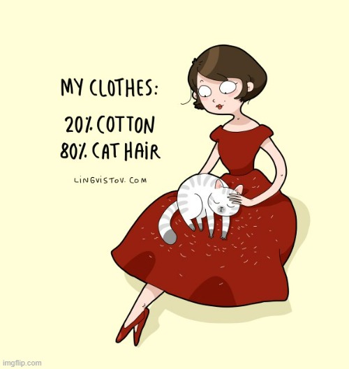 A Cat Lady's Way Of Thinking | image tagged in memes,comics,cat lady,clothes,cats,hair | made w/ Imgflip meme maker
