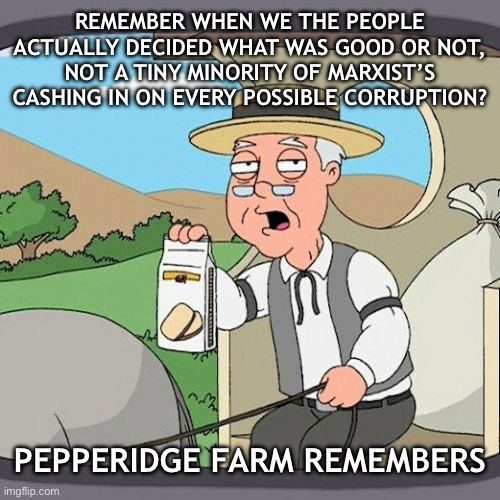 Democracy is just a minority vote | REMEMBER WHEN WE THE PEOPLE ACTUALLY DECIDED WHAT WAS GOOD OR NOT, NOT A TINY MINORITY OF MARXIST’S CASHING IN ON EVERY POSSIBLE CORRUPTION? PEPPERIDGE FARM REMEMBERS | image tagged in memes,pepperidge farm remembers,politics,political meme | made w/ Imgflip meme maker
