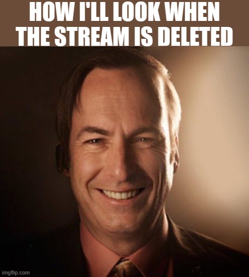 Saul Bestman | HOW I'LL LOOK WHEN THE STREAM IS DELETED | image tagged in saul bestman | made w/ Imgflip meme maker