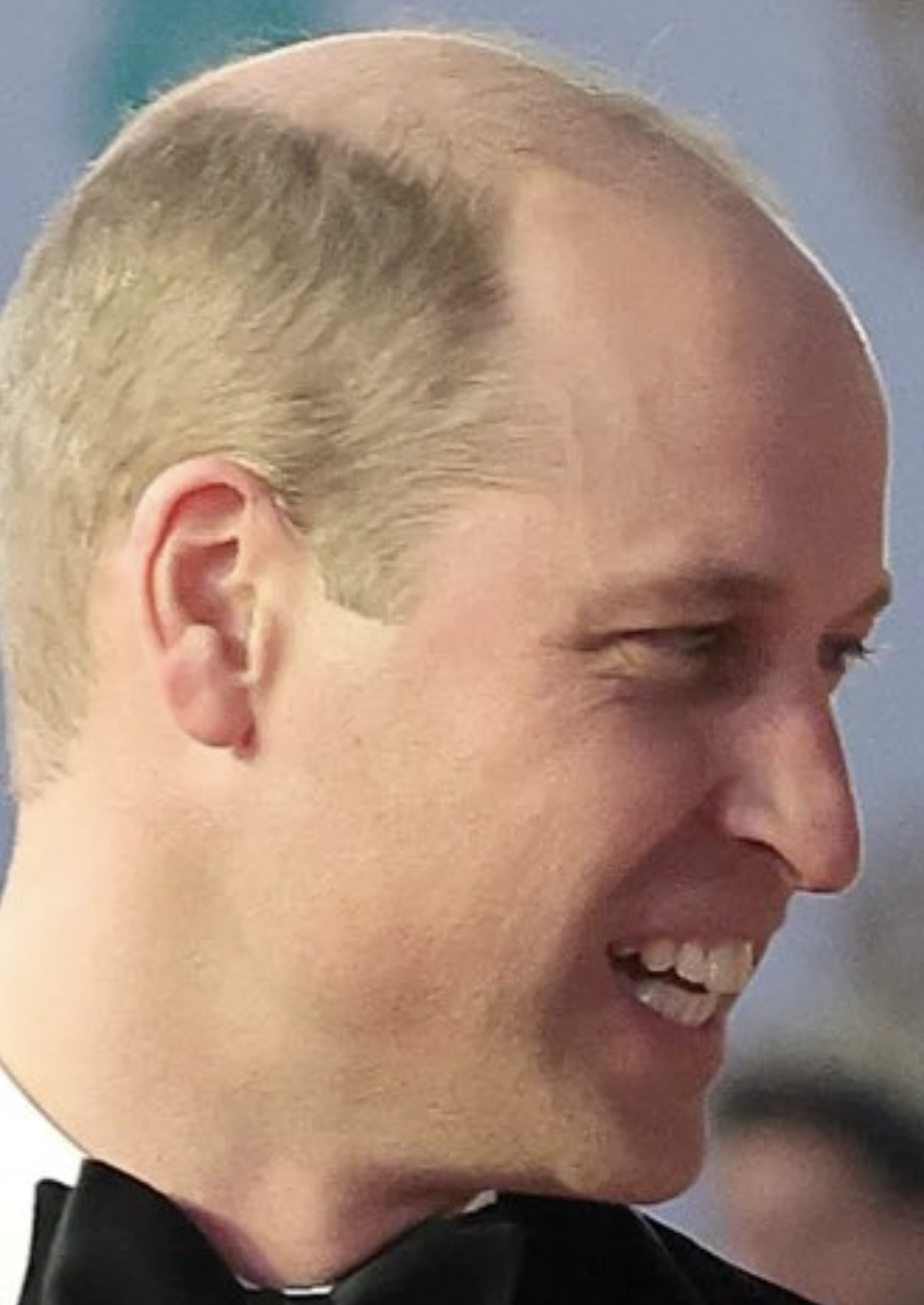 Wittle Willy Blank Meme Template