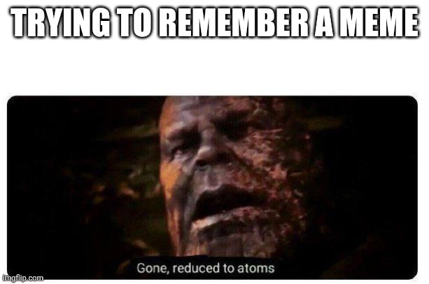 I just forgot so I made this | TRYING TO REMEMBER A MEME | image tagged in gone reduced to atoms,memes | made w/ Imgflip meme maker
