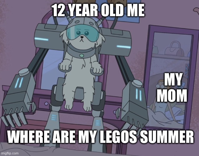 Where are my legos Summer? | 12 YEAR OLD ME; MY MOM; WHERE ARE MY LEGOS SUMMER | image tagged in where are my testicles summer | made w/ Imgflip meme maker