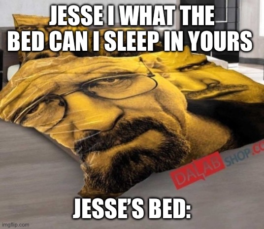 Breaking Bed | JESSE I WHAT THE BED CAN I SLEEP IN YOURS; JESSE’S BED: | image tagged in breaking bed | made w/ Imgflip meme maker