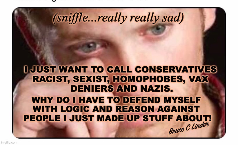 Sniffle | (sniffle...really really sad); I JUST WANT TO CALL CONSERVATIVES 
RACIST, SEXIST, HOMOPHOBES, VAX 
DENIERS AND NAZIS. WHY DO I HAVE TO DEFEND MYSELF 
WITH LOGIC AND REASON AGAINST 
PEOPLE I JUST MADE UP STUFF ABOUT! Bruce C Linder | image tagged in politics,hate speech,lying,sadness,why me,narcissism | made w/ Imgflip meme maker