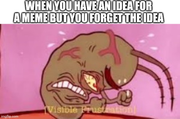 Wait, what was my idea again? | WHEN YOU HAVE AN IDEA FOR A MEME BUT YOU FORGET THE IDEA | image tagged in visible frustration | made w/ Imgflip meme maker