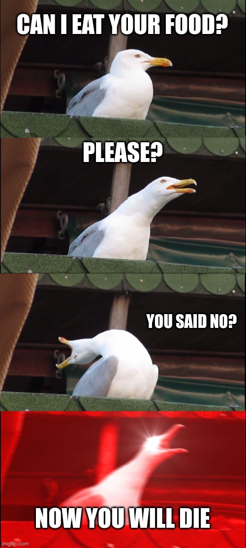 All seagulls be like... | CAN I EAT YOUR FOOD? PLEASE? YOU SAID NO? NOW YOU WILL DIE | image tagged in memes,inhaling seagull | made w/ Imgflip meme maker