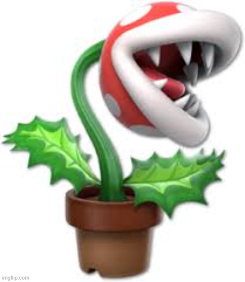 piranha plant | image tagged in piranha plant | made w/ Imgflip meme maker