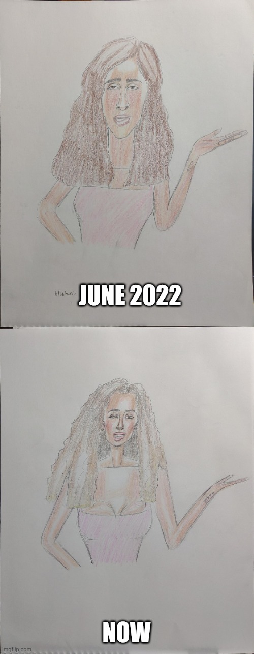 My 8 Month Art Improvement "Wife Material" | JUNE 2022; NOW | image tagged in art,artwork,drawing,sketch,color,wife | made w/ Imgflip meme maker