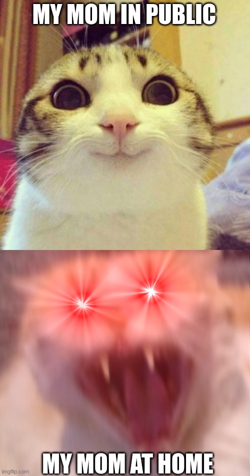 Angry Cat Meme | Postcard