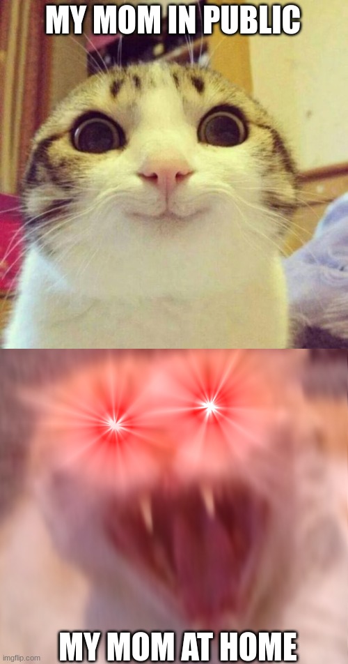 Angry Cat Meme