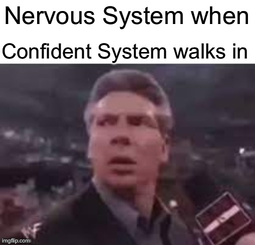 x when x walks in | Confident System walks in; Nervous System when | image tagged in x when x walks in,memes,funny | made w/ Imgflip meme maker