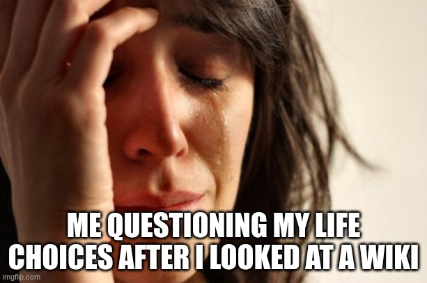 why | ME QUESTIONING MY LIFE CHOICES AFTER I LOOKED AT A WIKI | image tagged in memes,first world problems,fandom | made w/ Imgflip meme maker