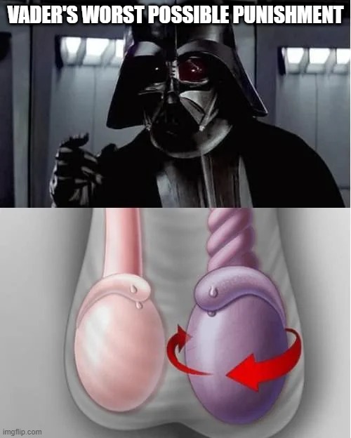 I Find Your Lack of Sperm Disturbing | VADER'S WORST POSSIBLE PUNISHMENT | image tagged in darth vader | made w/ Imgflip meme maker