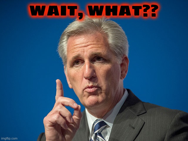 Kevin McCarthy | WAIT, WHAT?? | image tagged in kevin mccarthy | made w/ Imgflip meme maker