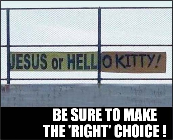 I Know What I Would Do ! | BE SURE TO MAKE THE 'RIGHT' CHOICE ! | image tagged in sign,jesus,hello kitty,choices,dark humour | made w/ Imgflip meme maker