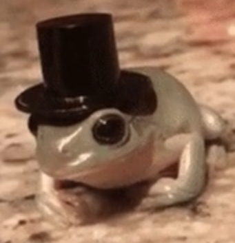 High Quality dapper frog Blank Meme Template