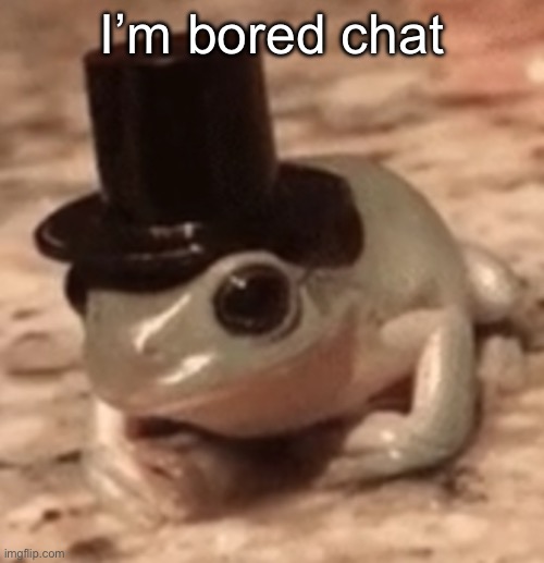 dapper frog | I’m bored chat | image tagged in dapper frog | made w/ Imgflip meme maker