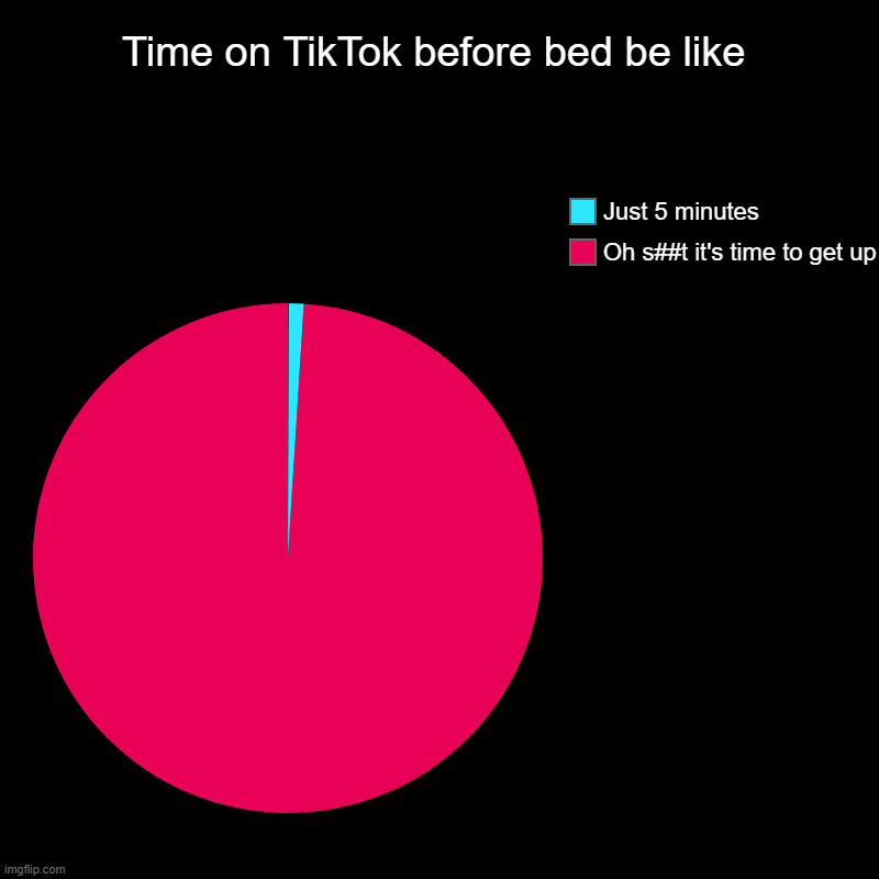 Bedtime TikTok | Time on TikTok before bed be like | Oh s##t it's time to get up, Just 5 minutes | image tagged in charts,pie charts,tiktok,bedtime,relatable,well nevermind | made w/ Imgflip chart maker