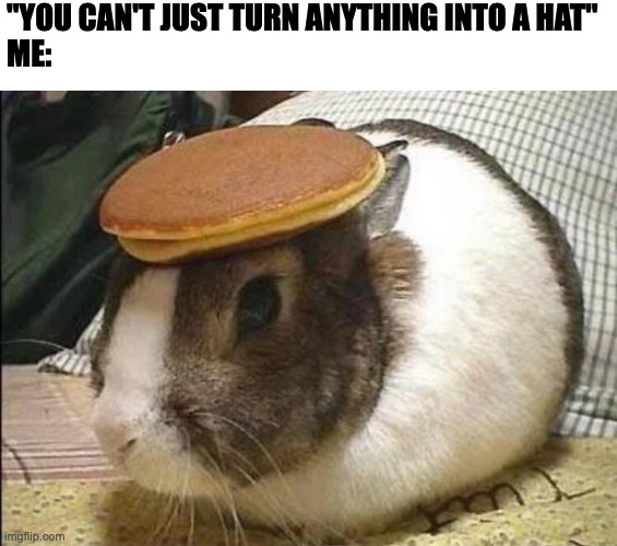 hat | "YOU CAN'T JUST TURN ANYTHING INTO A HAT"
ME: | image tagged in bunny pancake | made w/ Imgflip meme maker